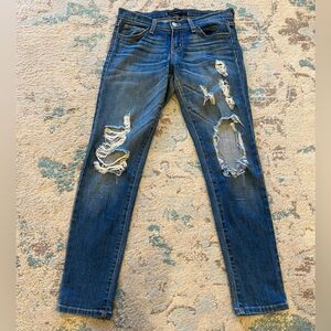 Flying Monkey Skinny Jeans